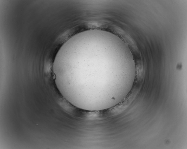 X0000102520574200808221844