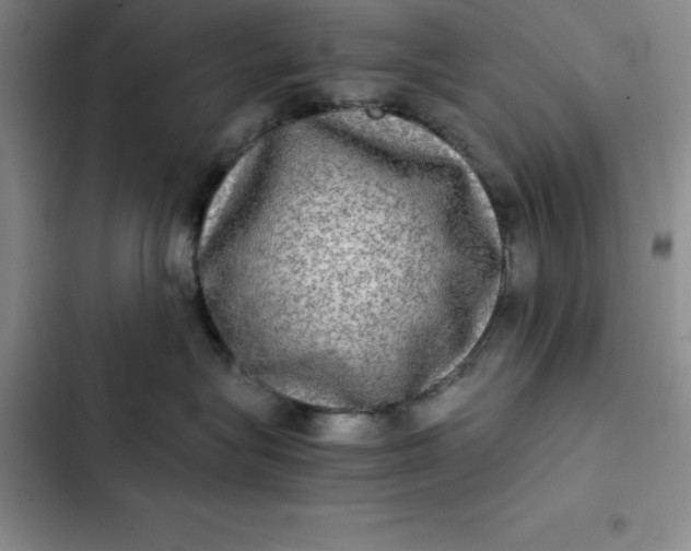 X0000102520575200808221844