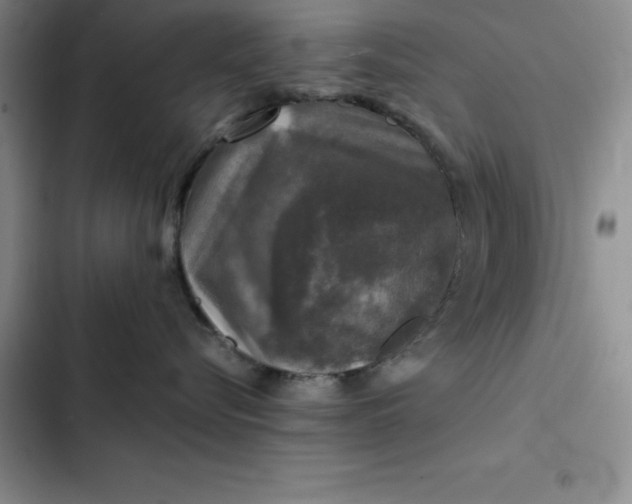 X0000102520576200808221844