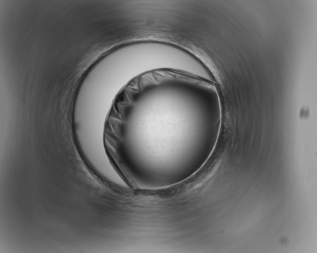 X0000102520577200808221843