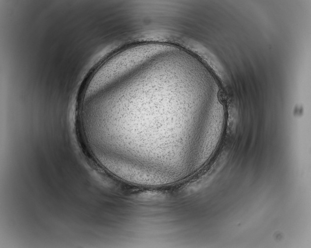 X0000102520578200808221843