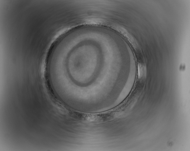 X0000102520579200808221843