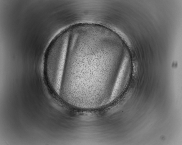 X0000102520580200808221843