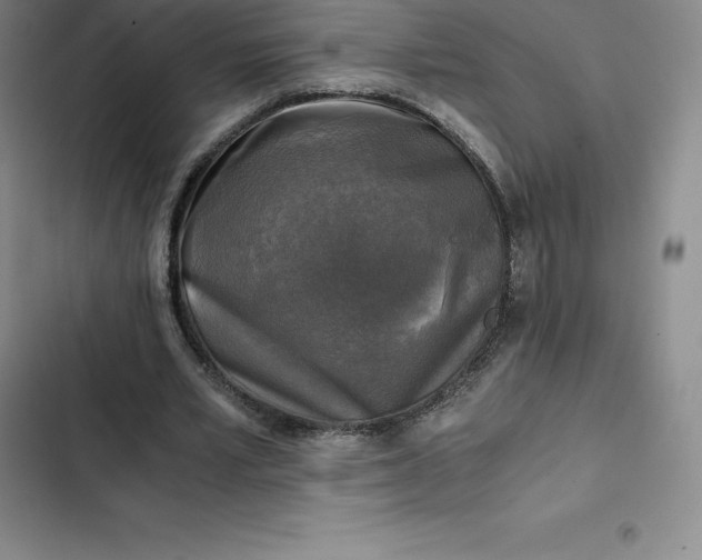 X0000102520581200808221843