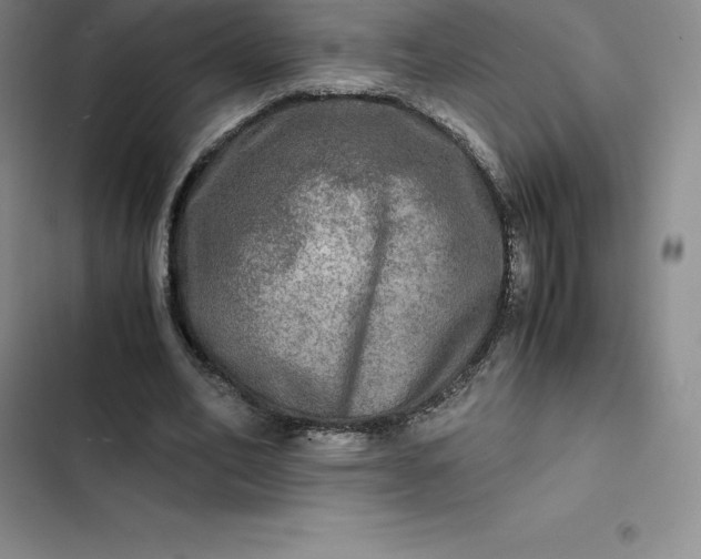 X0000102520582200808221843