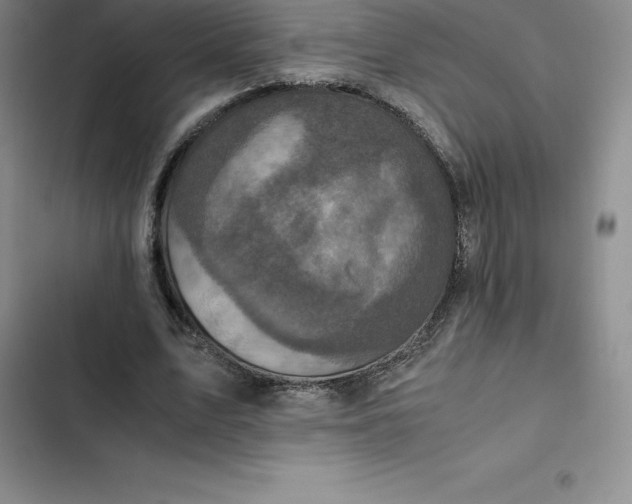 X0000102520583200808221843