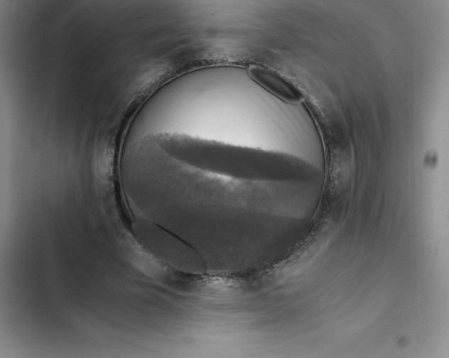 X0000102520585200808221843