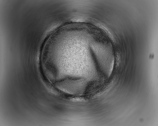 X0000102520586200808221843