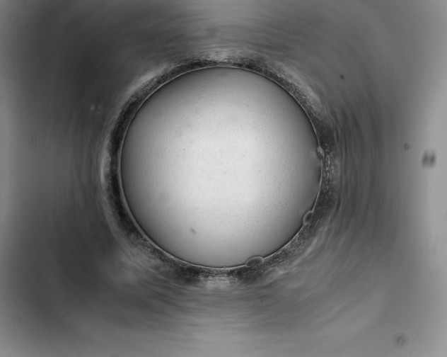 X0000102520587200808221843