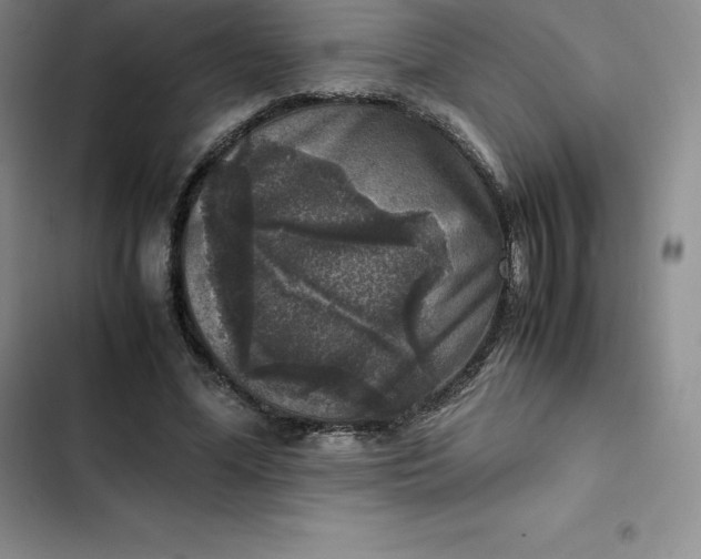 X0000102520588200808221843