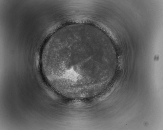 X0000102520589200808221843