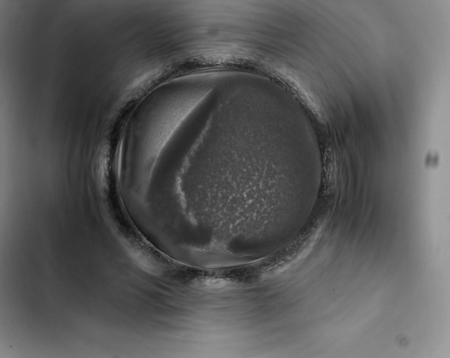 X0000102520590200808221843