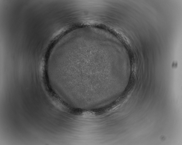 X0000102520591200808221843