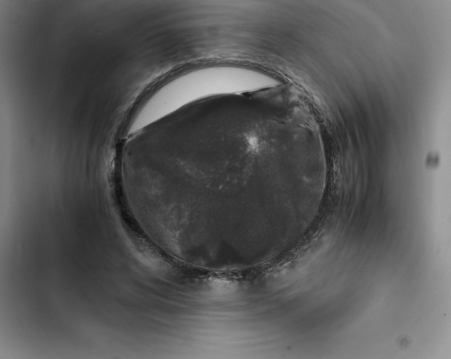 X0000102520592200808221843