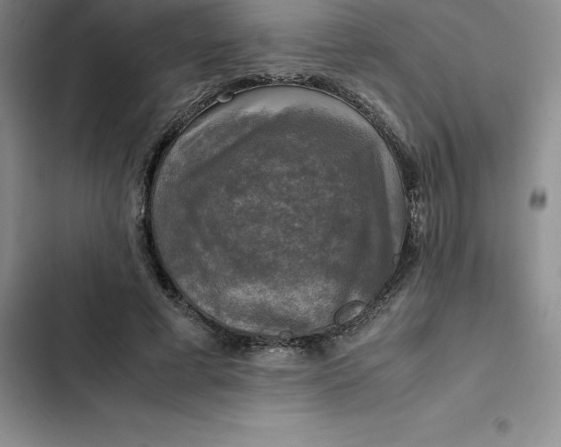 X0000102520593200808221843