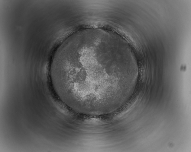 X0000102520594200808221843