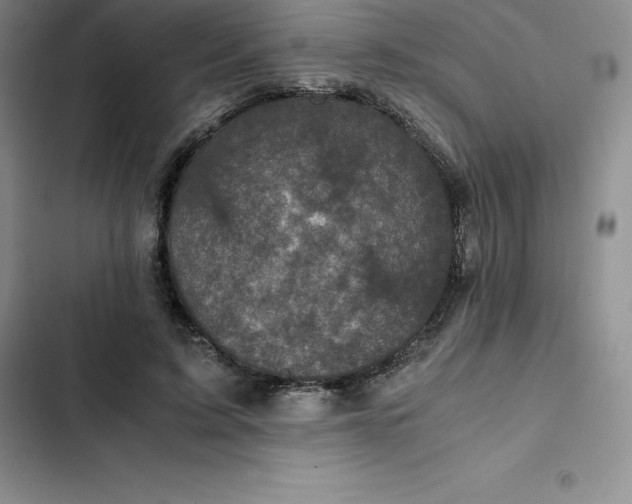 X0000102520595200808221843