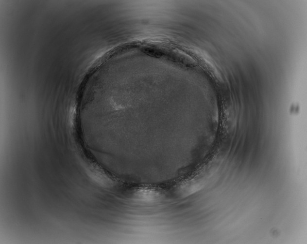 X0000102520596200808221843