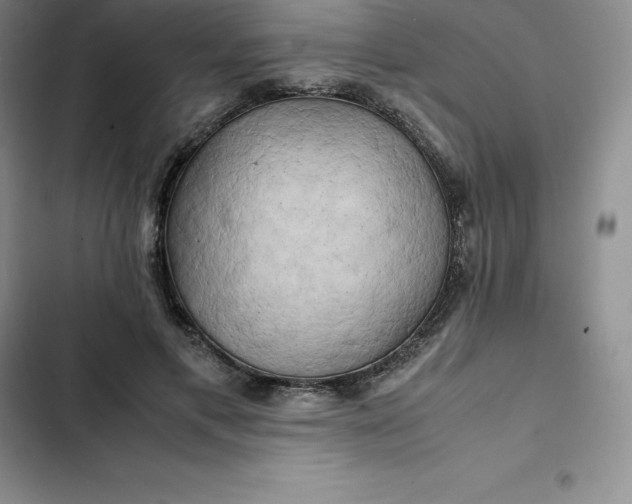 X0000102520597200808221843