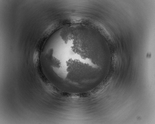 X0000102520598200808221843