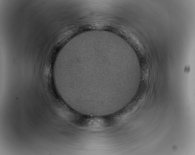 X0000102520599200808221843