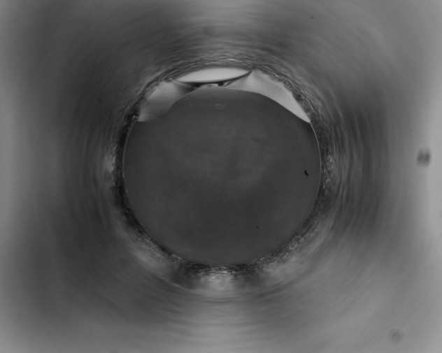 X0000102520600200808221843