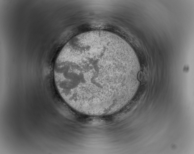 X0000102520601200808221843