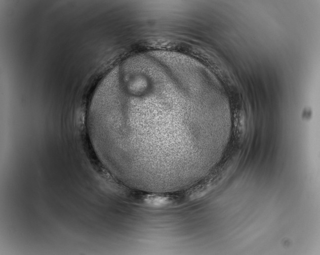 X0000102520602200808221843