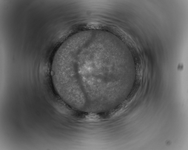 X0000102520603200808221843