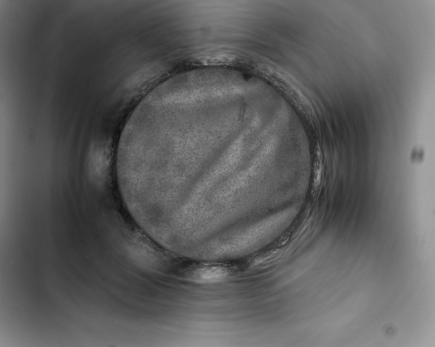 X0000102520604200808221843