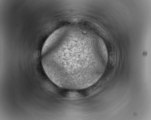 X0000102520605200808221843