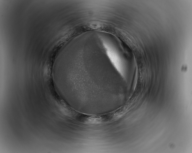 X0000102520606200808221843