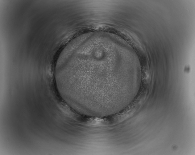 X0000102520607200808221843