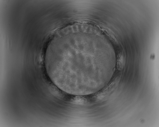 X0000102520608200808221843