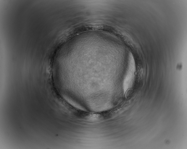 X0000102520609200808221843