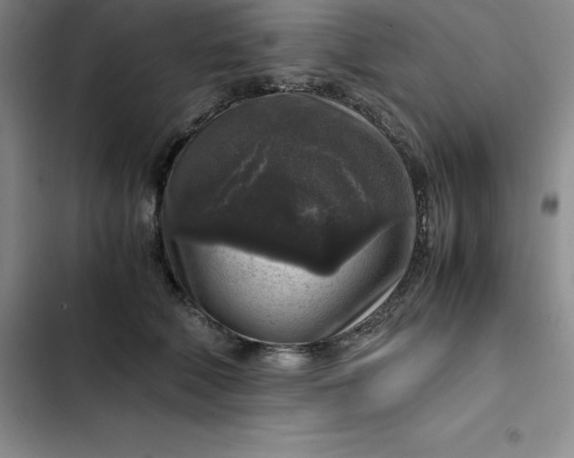 X0000102520610200808221843