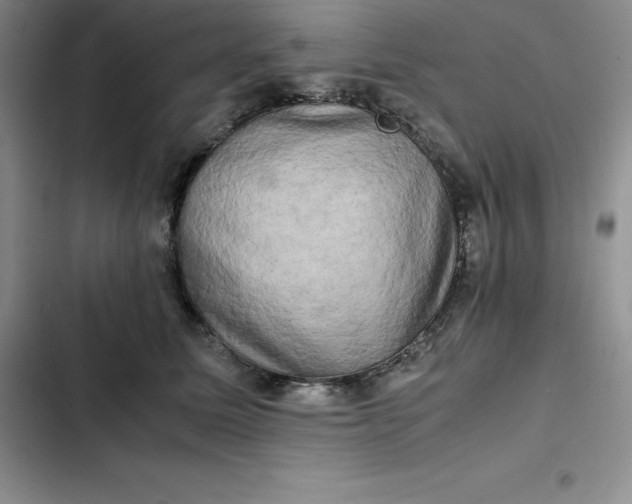 X0000102520611200808221843