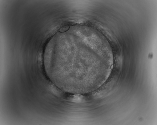 X0000102520612200808221843