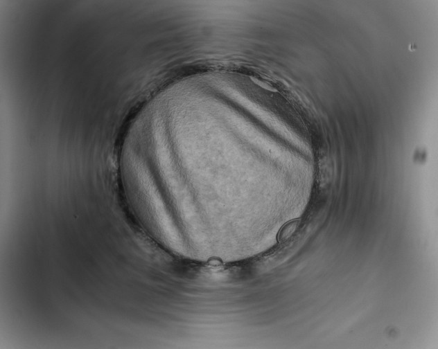 X0000102520613200808221843