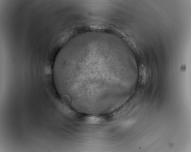 X0000102520614200808221843