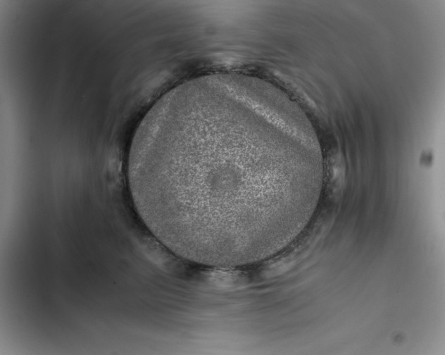 X0000102520615200808221843