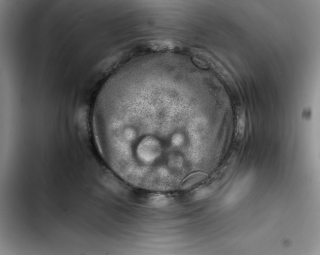 X0000102520616200808221843