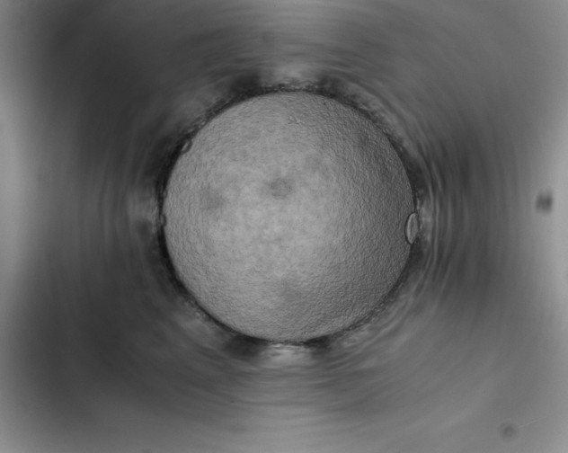 X0000102520617200808221843