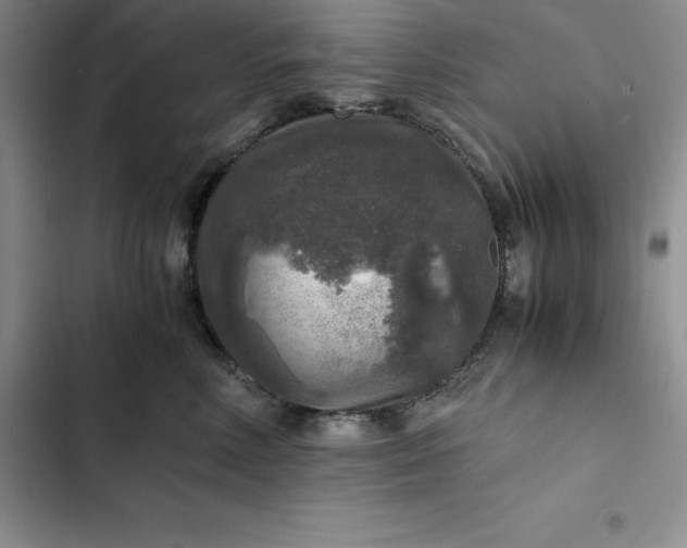 X0000102520618200808221843