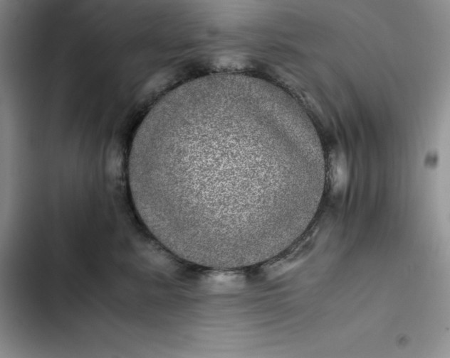 X0000102520619200808221843