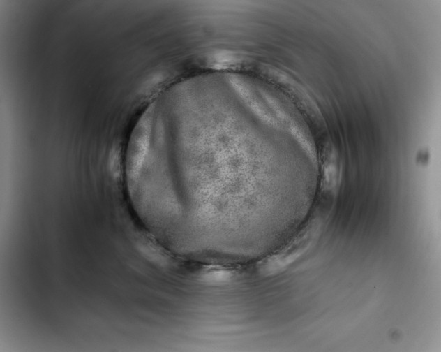 X0000102520620200808221843