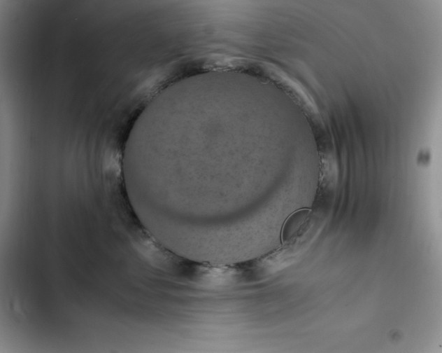 X0000102520621200808221843