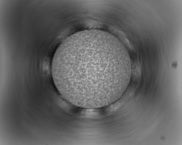 X0000102520622200808221843