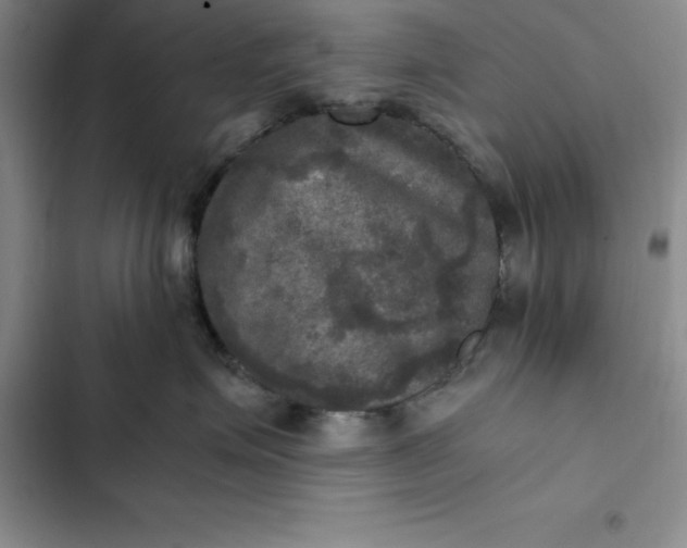 X0000102520623200808221843