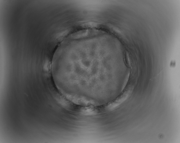 X0000102520624200808221843